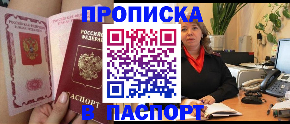 прописка поиск в Апатитах